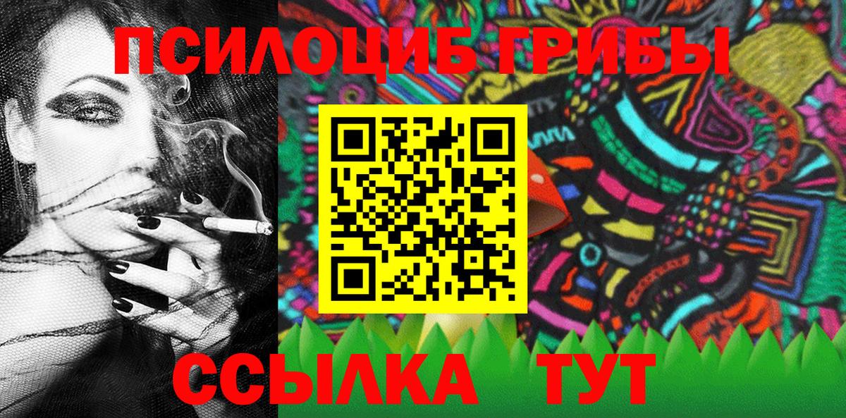 Серов  Псилоцибиновые грибы Psilocybine cubensis  Вход с VPN  Псилоцибиновые грибы Psilocybe 
